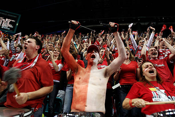 他们需要保 他们需要保